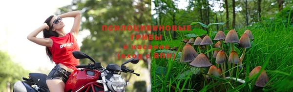 соль курить ск Алексеевка